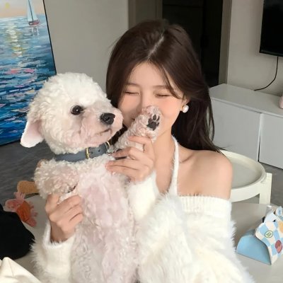 蜂蜜与四叶草第一季